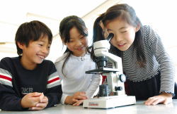 �����񍐎ʐ^